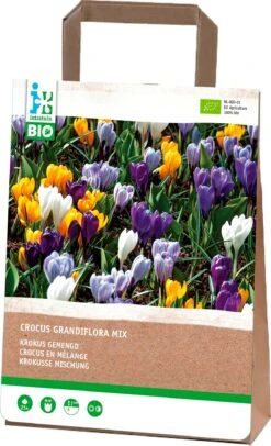 Intratuin Biologische Bloembollen Krokus (Crocus Grandiflora) Gemengd 25 Stuks