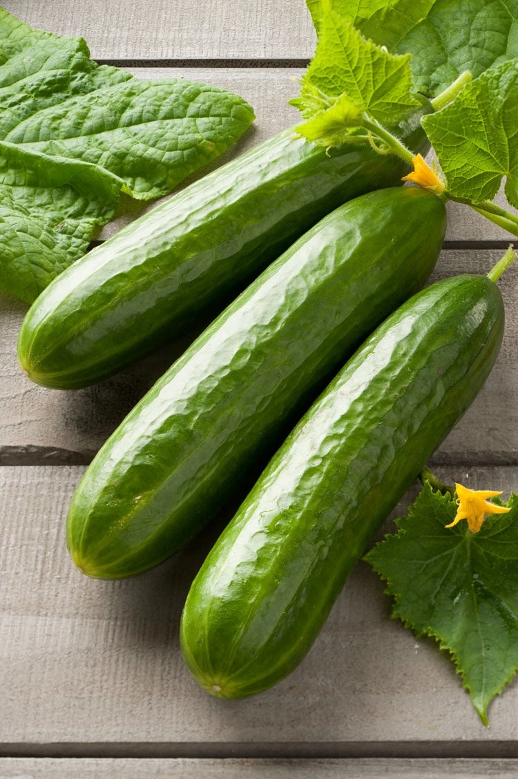 Snack Komkommer (Komkommer Snack) 1 Snack Komkommer (Komkommer Snack)