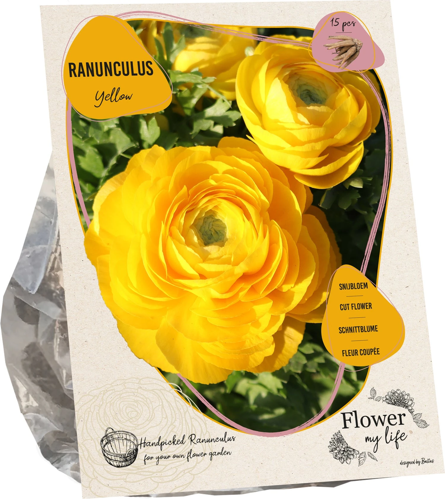Baltus Flower My Life Ranonkel Knol (Ranunculus) Geel 15 Stuks 1 Baltus Flower My Life Ranonkel Knol (Ranunculus) Geel 15 Stuks