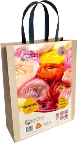 Baltus Cadeautas Flower My Life Ranonkel Knol (Ranunculus Specials) 15 Stuks