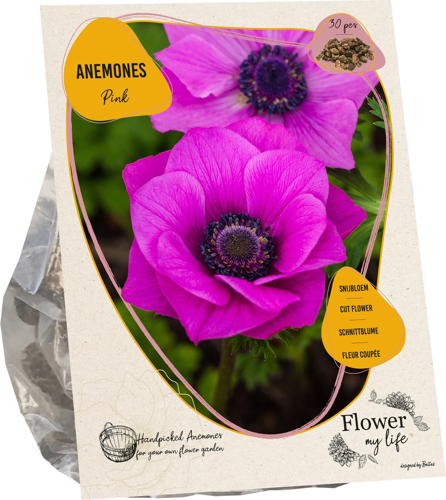 Baltus Flower My Life Anemoon Knol (Anemone) Roze 30 Stuks 1 Baltus Flower My Life Anemoon Knol (Anemone) Roze 30 Stuks