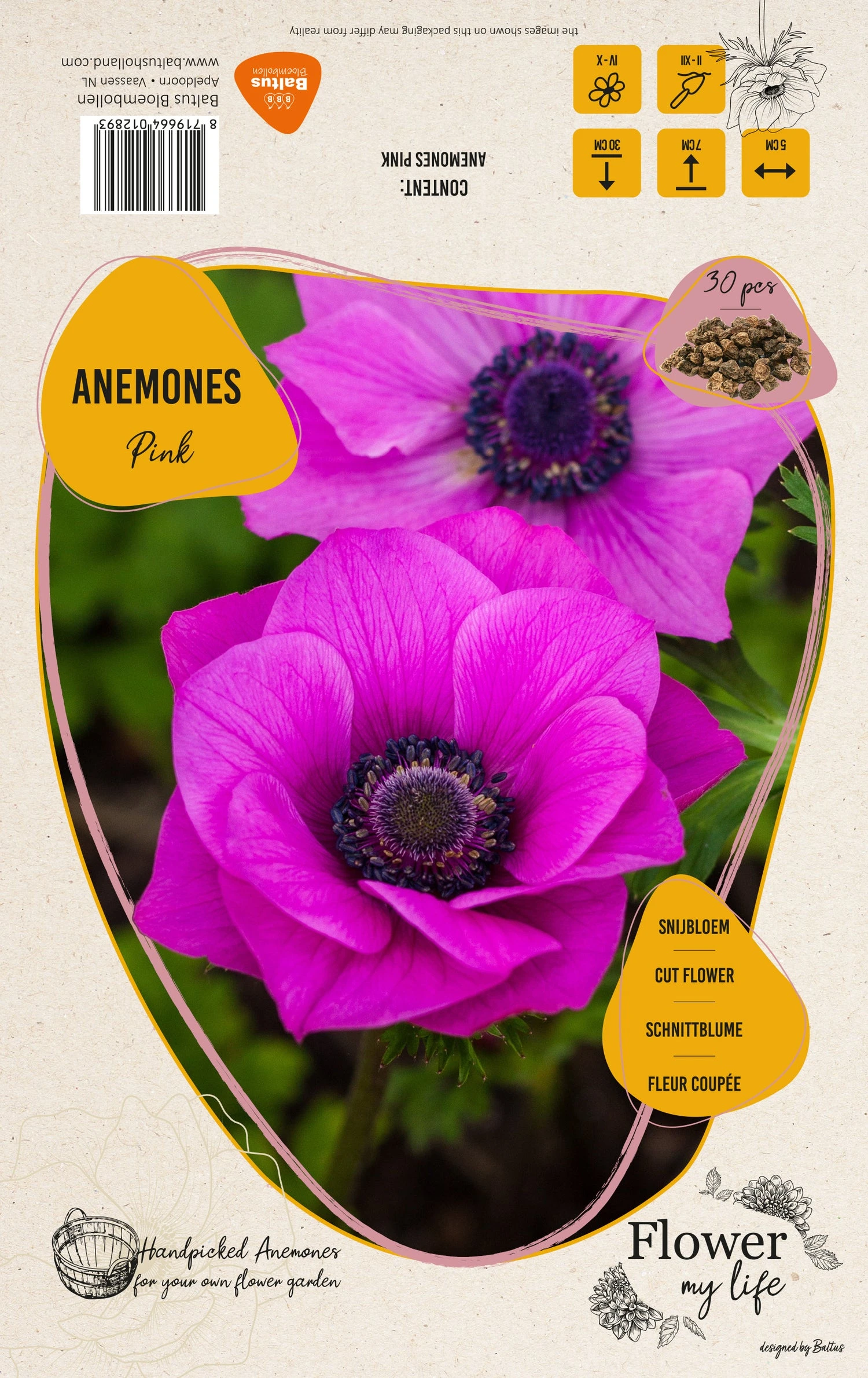 Baltus Flower My Life Anemoon Knol (Anemone) Roze 30 Stuks 2 Baltus Flower My Life Anemoon Knol (Anemone) Roze 30 Stuks - Afbeelding 2