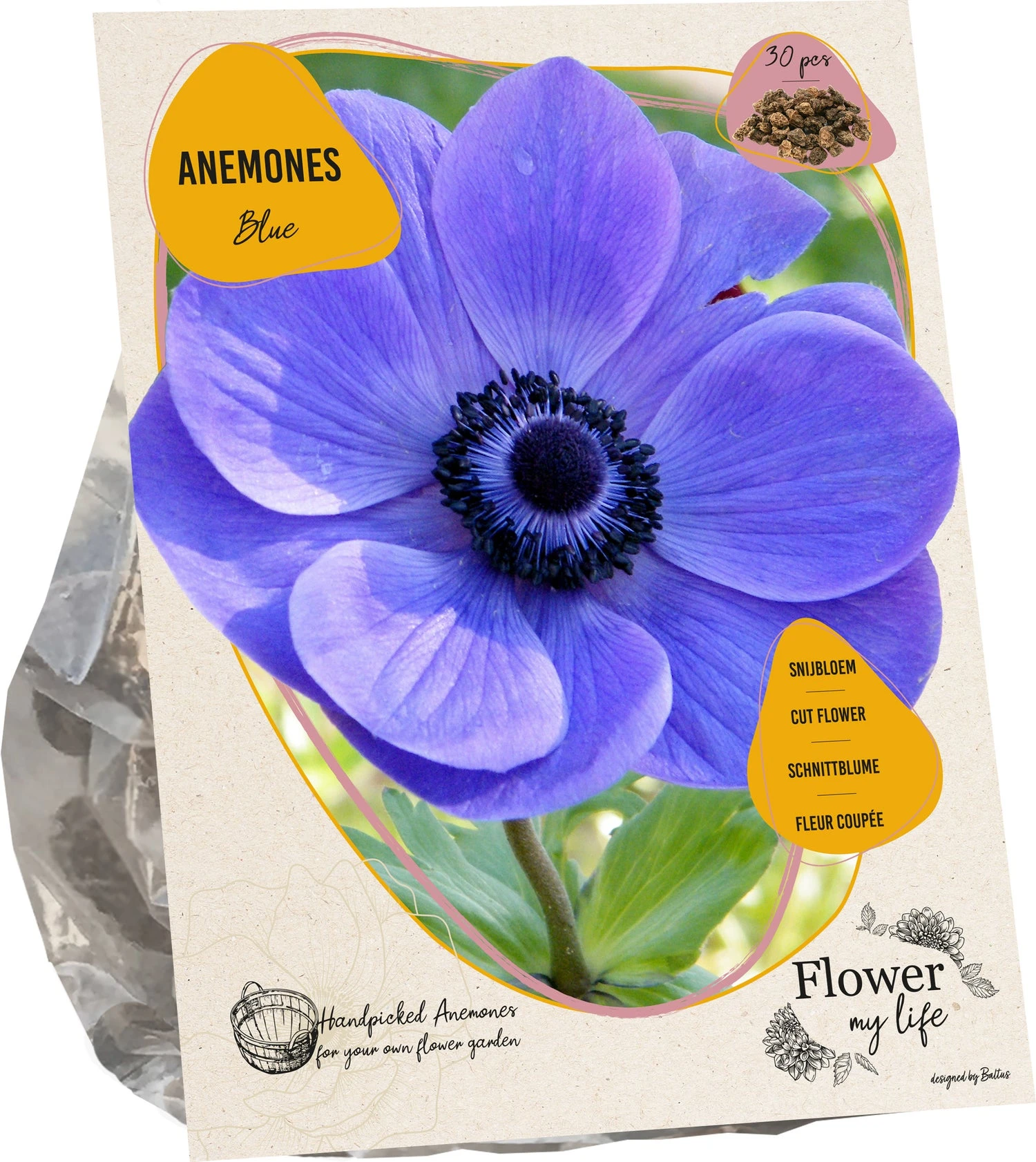 Baltus Flower My Life Anemoon Knol (Anemone) Blauw Paars 30 Stuks 1 Baltus Flower My Life Anemoon Knol (Anemone) Blauw Paars 30 Stuks