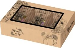 Baltus Bloombox Flower My Life Anemoon Knol (Anemone) 45 Stuks