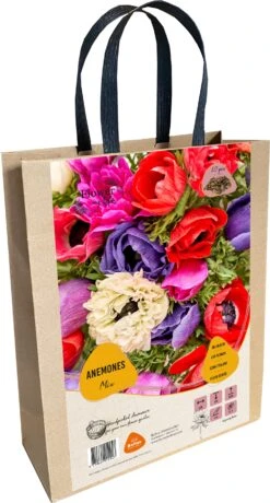 Baltus Cadeautas Flower My Life Anemoon Knol (Anemone Specials) 50 Stuks
