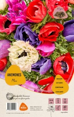 Mooi Moestuin -Mooi Moestuin 8719664012947 2