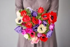 Baltus Cadeautas Flower My Life Anemoon Knol (Anemone Specials) 50 Stuks -Mooi Moestuin 8719664012947 3