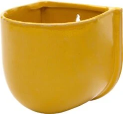 Intratuin Muur Bloempot Luanne Geel D 12 H 13 Cm