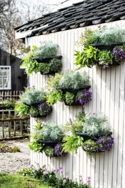 Intratuin Muur Bloempot Zwart 36 X 20 X 30 Cm -Mooi Moestuin 8720196052486 3