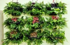 Intratuin Muur Bloempot Zwart 36 X 20 X 30 Cm -Mooi Moestuin 8720196052486 4