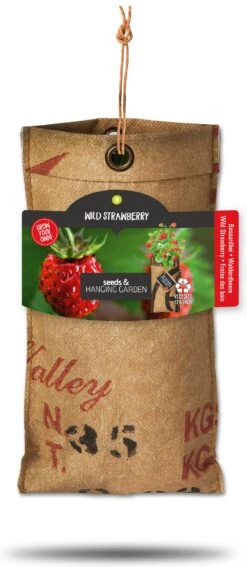 Baza Hangtuintje Bosaardbei (Fragaria Vesca)