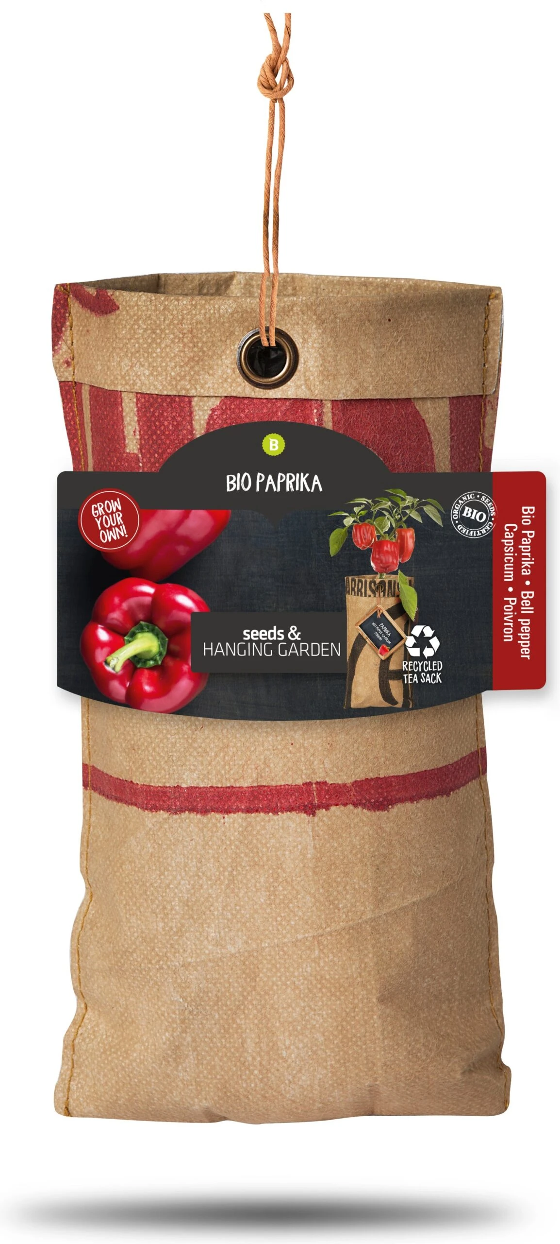 Baza Hangtuintje Paprika (Capsicum Annuum) 1 Baza Hangtuintje Paprika (Capsicum Annuum)