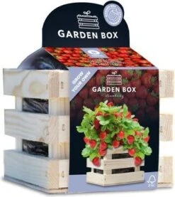 Baza Gardenbox Kweekset Aardbei Sappig 12 X 11 X 10 Cm