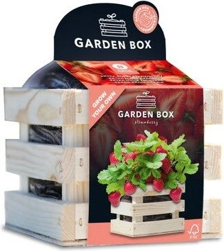 Baza Gardenbox Kweekset Aardbei Zoet 12 X 11 X 10 Cm 1 Baza Gardenbox Kweekset Aardbei Zoet 12 X 11 X 10 Cm