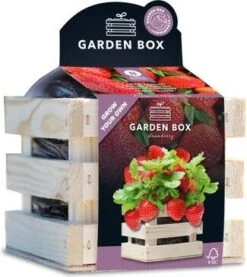Baza Gardenbox Kweekset Reuze Aardbei 12 X 11 X 10 Cm