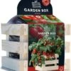 Baza Gardenbox Groentezaad Struiktomaat Minibel 12 X 11 X 10 Cm