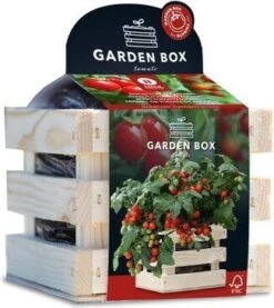 Baza Gardenbox Groentezaad Struiktomaat Minibel 12 X 11 X 10 Cm
