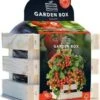 Baza Gardenbox Groentezaad Struiktomaat Heartbreakers 12 X 11 X 10 Cm