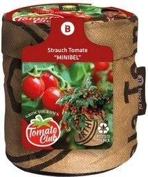 Baza Minituin Groentezaad Struiktomaat Minibel D 11 H 12 Cm