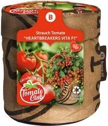 Baza Minituin Groentezaad Struiktomaat Heartbreakers D 11 H 12 Cm