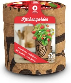 Baza Aardbei Tuinkeukentje Bosaardbei (Fragaria Vesca)