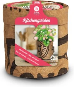 Baza Aardbei Tuinkeukentje Witte Bosaardbei (Fragaria Vesca)