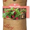 Baza Aardbei Hangtuin Aardbei (Fragaria)