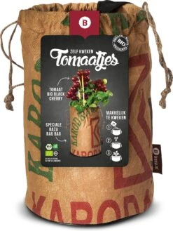 Baza Tomato Rags Biologische Kerstomaat (Solanum Lycopersicum 'Black Cherry')