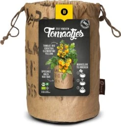 Baza Tomato Rags Biologische Kerstomaat (Solanum Lycopersicum 'Cocktail Yellow')