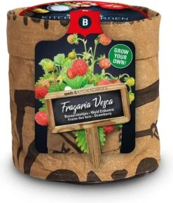 Bosaardbei (Fragaria) D H Cm