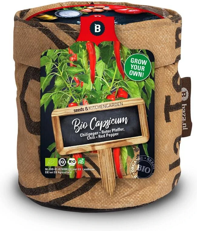 Chillipeper (Solanum Annuum) D H Cm 1 Chillipeper (Solanum Annuum) D H Cm