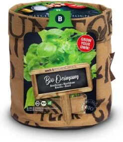 Basilicum (Ocimum Basilicum 'Genovese') D H Cm