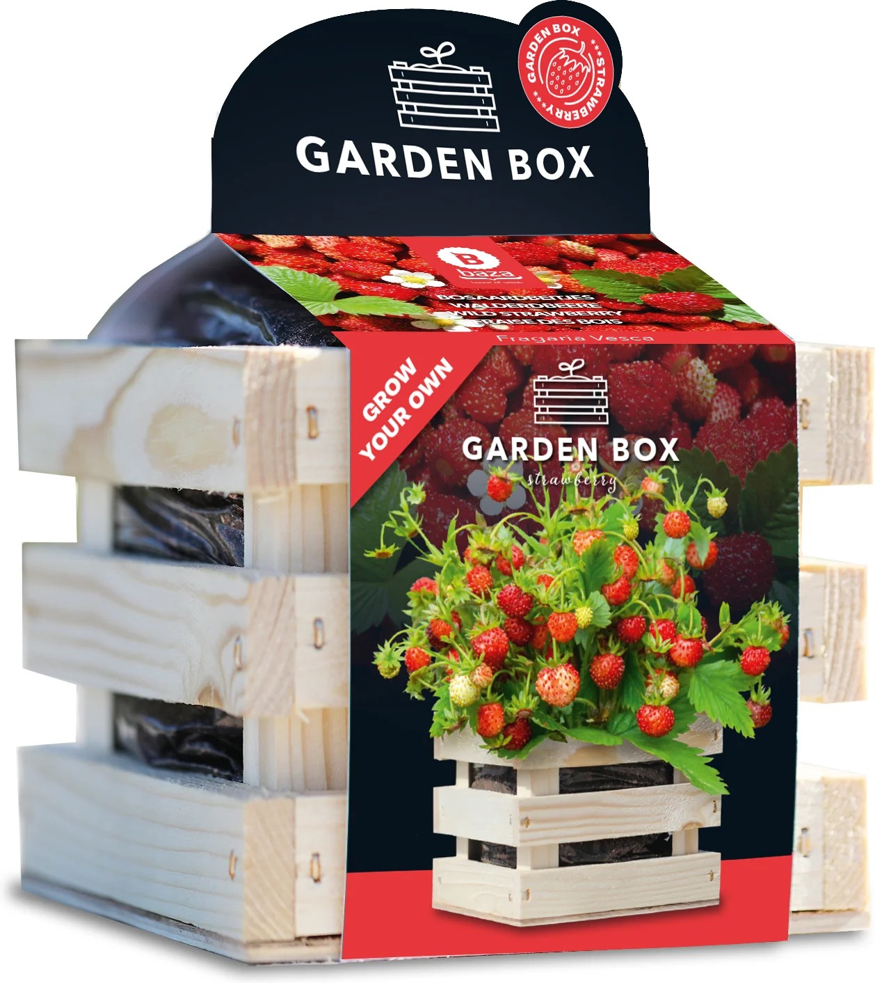 Mooi Moestuin -Mooi Moestuin 8726200177473