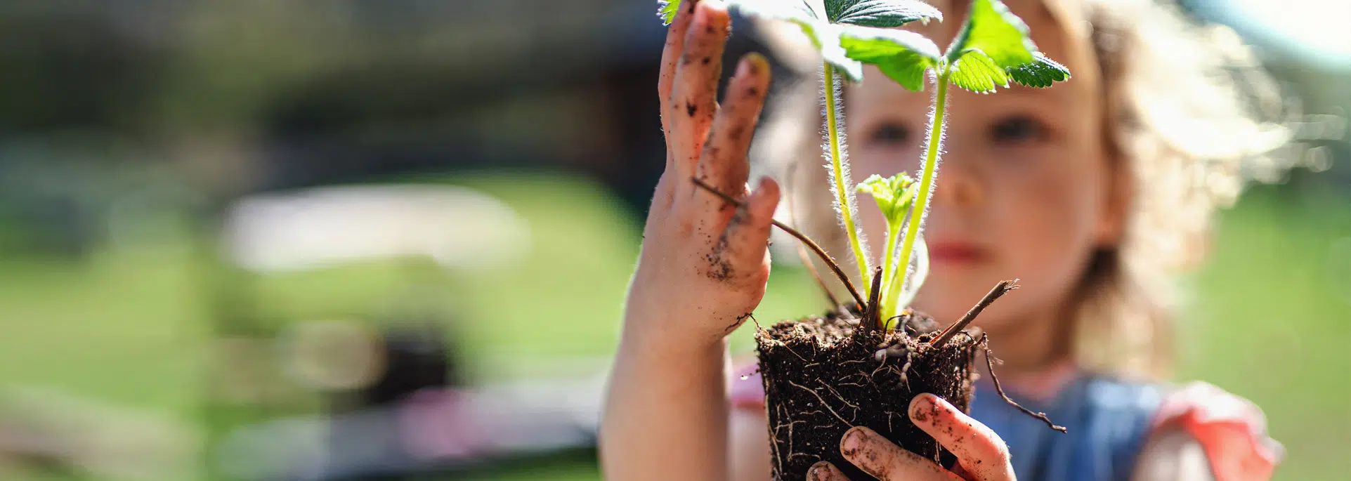 Mooi Moestuin -Mooi Moestuin moestuin zaden bg